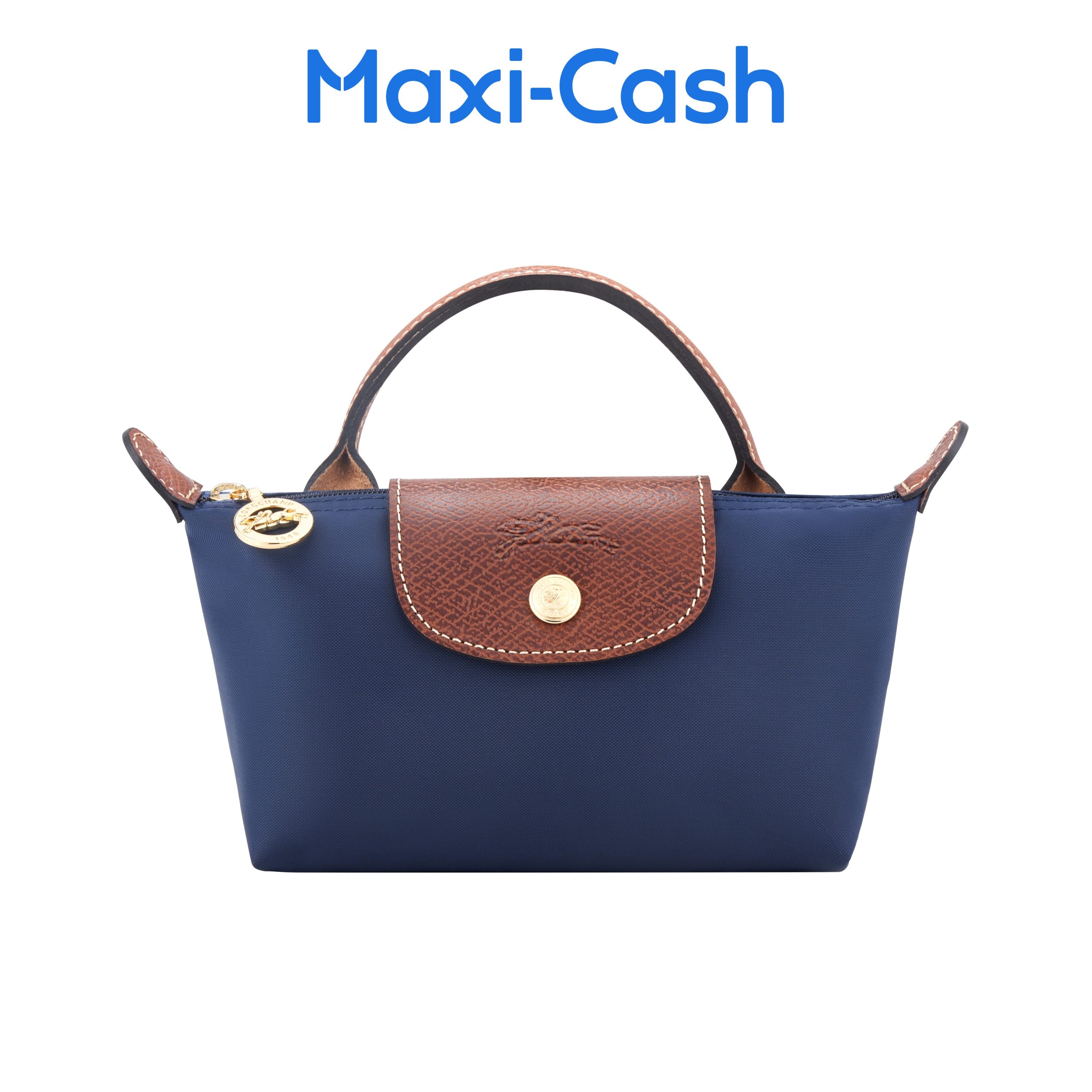 Longchamp Le Pliage Pouch with Handle (34175089-P68) (Unused)