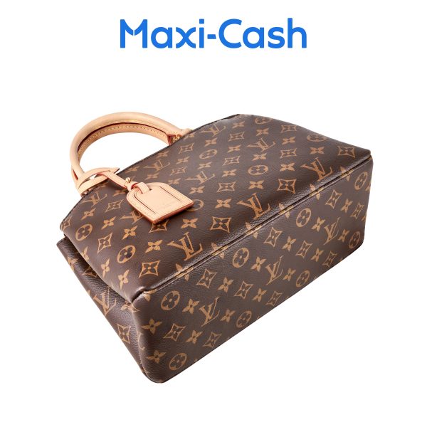 Louis Vuitton Petit Palais Bag M45900 (Preloved) - Image 3